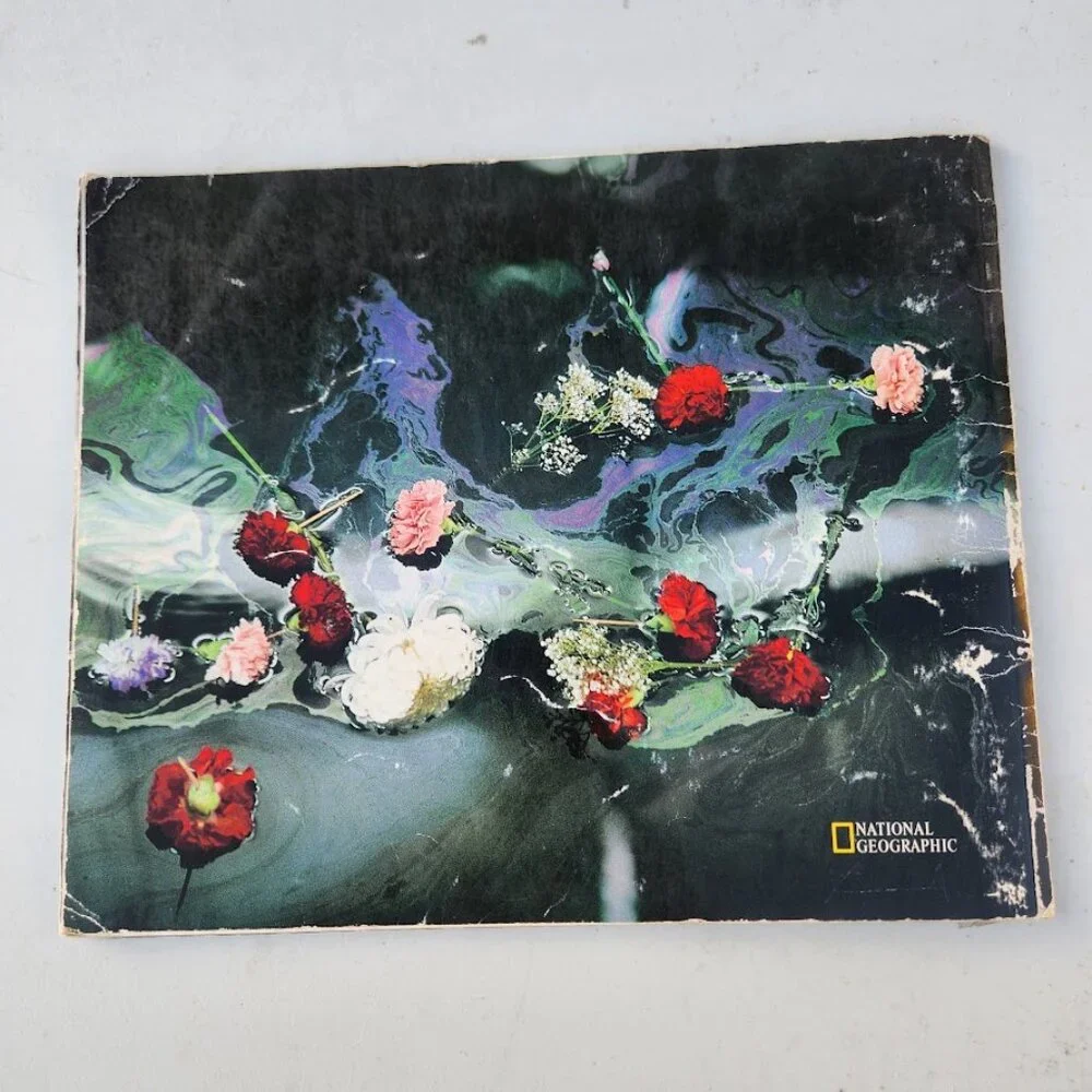 Pearl Harbor National Geographic Collector's Edition World War 2 WWII Book Great